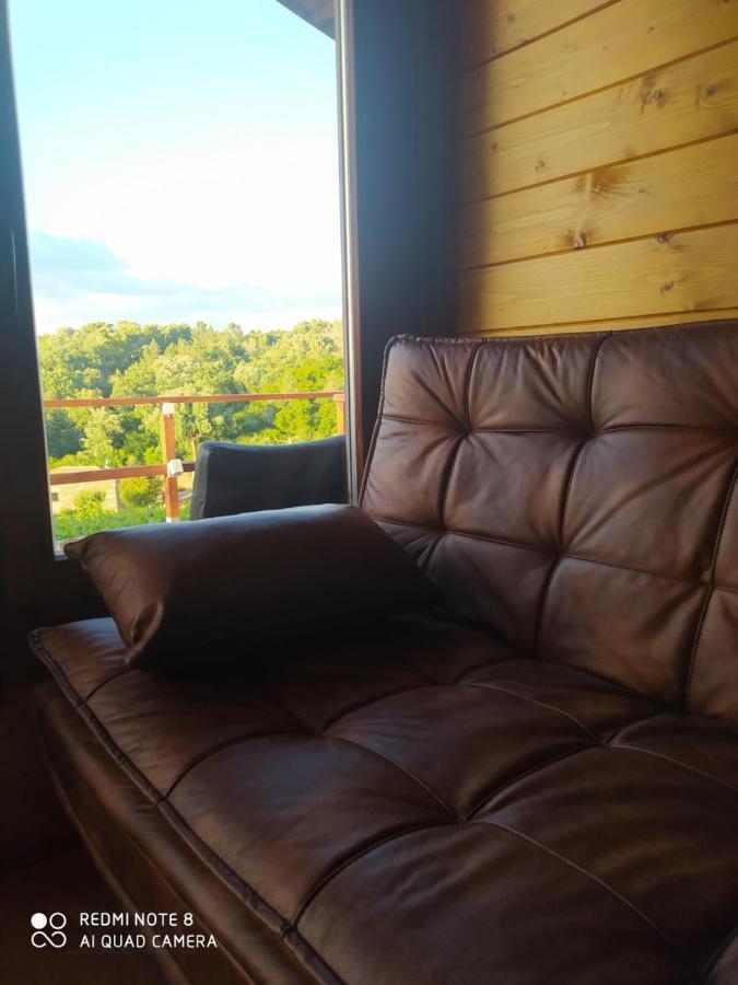 Casa Das Vinhas Velhas By Casa Do Poco Peso da Régua المظهر الخارجي الصورة