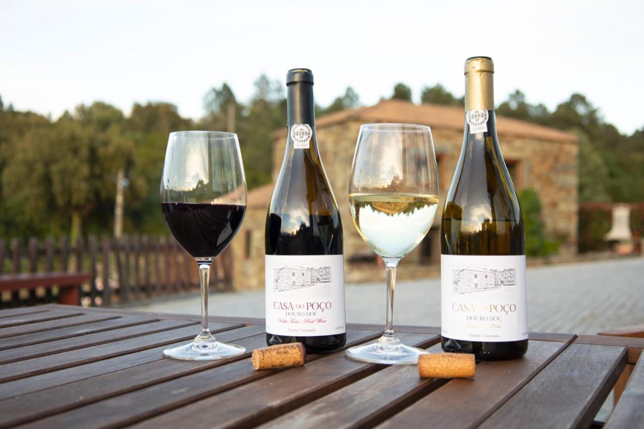 Casa Das Vinhas Velhas By Casa Do Poco Peso da Régua المظهر الخارجي الصورة